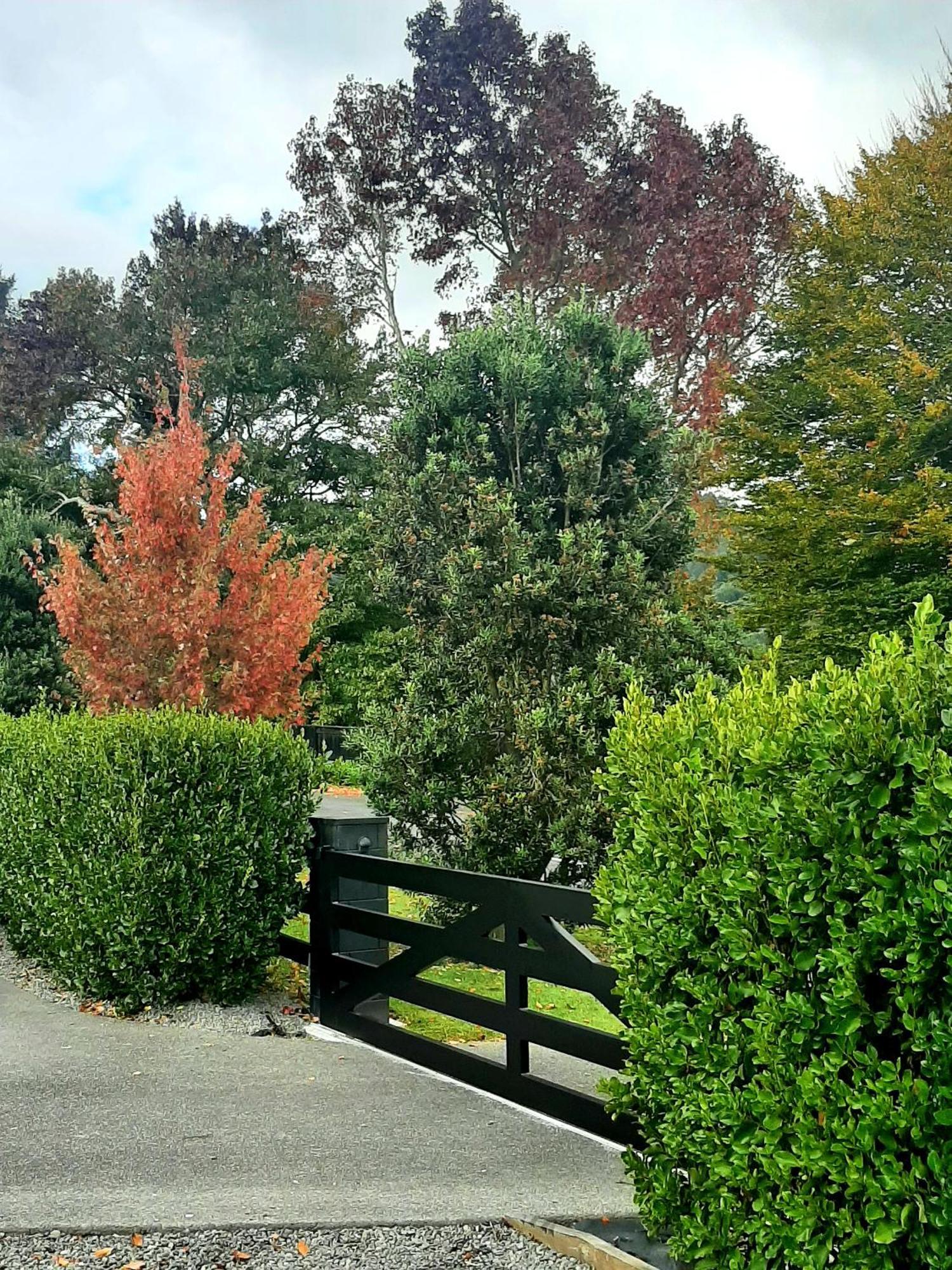 Tree View Studio Tauranga Eksteriør billede